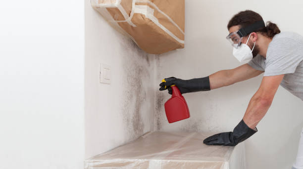Professional Mold Testing technician working in Audubon, NJ