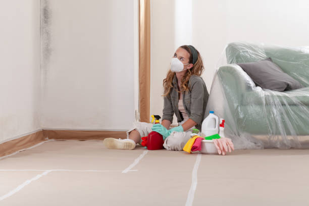 Reliable Mold Testing contractor in Audubon, NJ by WQB Mold Removal